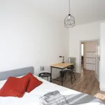 Rent 4 bedroom apartment in Modena