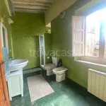 Rent 3 bedroom apartment of 70 m² in Lucca