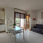 Rent 2 bedroom apartment of 40 m² in Roma