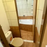 Pronajměte si 1 ložnic/e byt o rozloze 44 m² v Suchdol nad Lužnicí