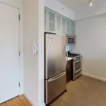 Rent 1 bedroom apartment of 60 m² in New York