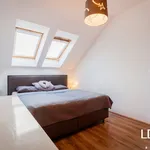 Rent 2 bedroom apartment in Olomouc