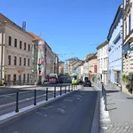 Rent 1 bedroom apartment in Brno