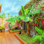 Rent 3 bedroom house of 245 m² in San Cristóbal de La Laguna