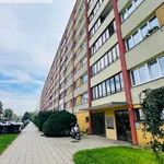 Rent 1 bedroom apartment in Hradec Králové