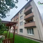 Pronajměte si 3 ložnic/e byt o rozloze 71 m² v Bor