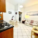 Rent 1 bedroom apartment in prague