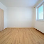 Rent 2 bedroom apartment in Kolín