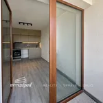 Rent 1 bedroom apartment of 34 m² in Pilsen