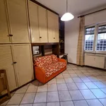 Rent 1 bedroom apartment of 23 m² in Rome