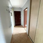 Rent 2 bedroom apartment of 50 m² in Koszalin