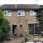 Rent 4 bedroom flat in Colchester