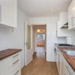 Rent 4 bedroom apartment of 140 m² in Arnhem