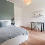 Rent a room in berlin