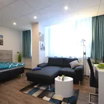 Miete 1 Schlafzimmer wohnung von 26 m² in Offenbach