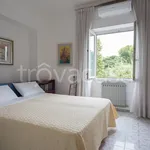 Rent 7 bedroom house of 250 m² in Ischia