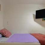 Rent 4 bedroom apartment in Valencia