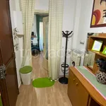 Rent 1 bedroom apartment of 30 m² in Torino