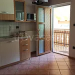 Rent 1 bedroom apartment of 20 m² in Ville di Fiemme