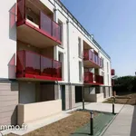 Rent 2 bedroom apartment of 45 m² in Tournefeuille