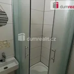 Rent 1 bedroom apartment in Břeclav