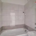 Rent 2 bedroom apartment in Ostrava