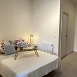 Rent 1 bedroom apartment of 30 m² in madrid