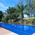 Rent 3 bedroom house of 245 m² in Bang Tao