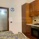 Rent 1 bedroom apartment of 70 m² in Roma