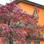 Apartment via Monsignor G. Sigismondo 22, Centro, Pontremoli