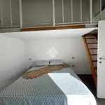 Rent 2 bedroom apartment of 50 m² in Perugia