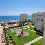 Alquilo 3 dormitorio apartamento de 100 m² en Alicante