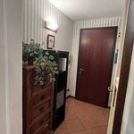 Rent 2 bedroom apartment in Firenze