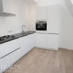 Rent 2 bedroom apartment of 110 m² in The Hague