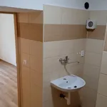 Rent 1 bedroom apartment in Olomouc