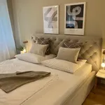 Rent 1 bedroom apartment of 50 m² in Dusseldorf