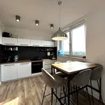 Rent 3 bedroom apartment of 60 m² in Rzeszów