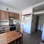 Rent 1 bedroom apartment of 34 m² in Łódź