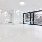 Rent 7 bedroom house of 444 m² in Zagreb