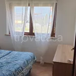 Rent 1 bedroom apartment of 50 m² in Nettuno