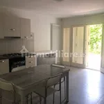 Rent 2 bedroom apartment of 44 m² in Vicenza