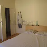 Rent 3 bedroom apartment of 100 m² in livorno