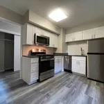 Rent 1 bedroom apartment in Chicago