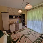 Rent 3 bedroom apartment of 75 m² in Wrocław