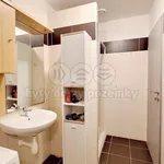 Rent 2 bedroom apartment of 51 m² in Týniště nad Orlicí