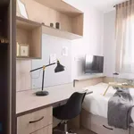 Rent 20 bedroom apartment in Madrid