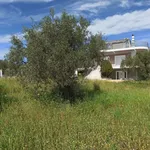 Rent 5 bedroom house of 222 m² in Municipal Unit of Megara