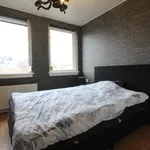 Rent 1 bedroom house of 115 m² in Eindhoven