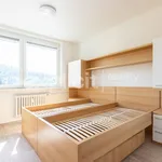 Rent 3 bedroom apartment of 76 m² in Brno