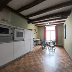 Rent 3 bedroom apartment of 100 m² in Maastricht